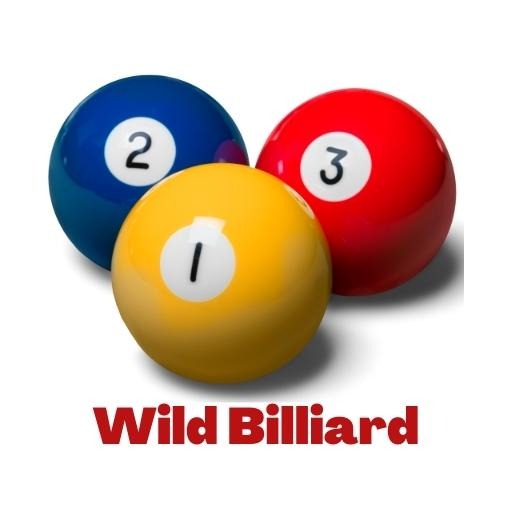 Wild Billiard LOGO